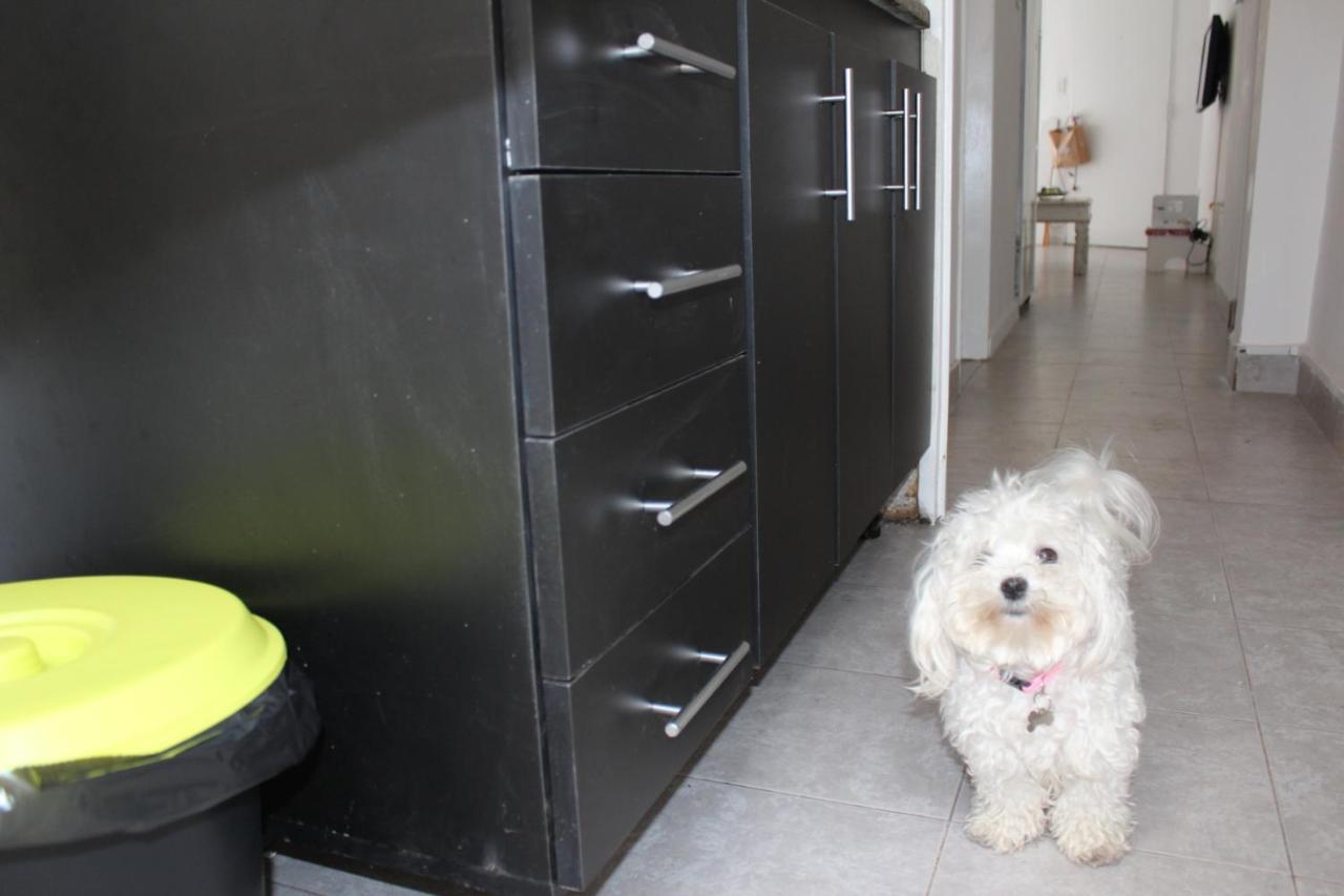 Departamento Entrada Independiente En Belgrano Proximo Al Subte Linea D Appartamento Buenos Aires